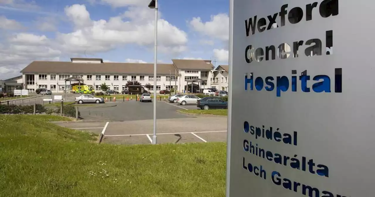 Boy (14) dies after being found in water at his Wexford home