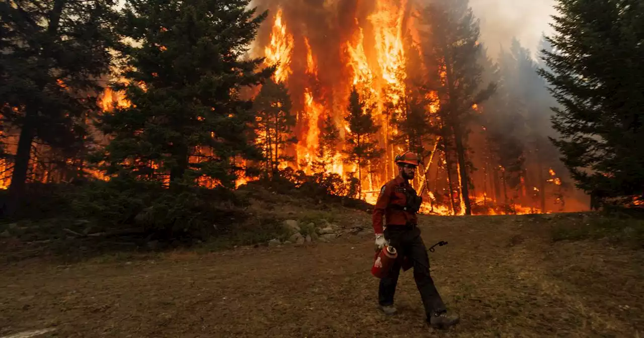 ‘The mild Irish climate didn’t prepare me for Canada’s summers (or winters)’