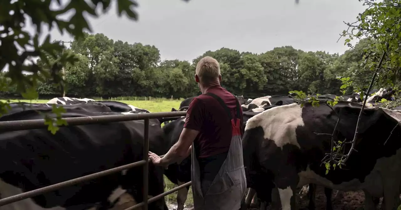 ‘There’s no farming without profit, it’ll be gone in the morning if there isn’t money’