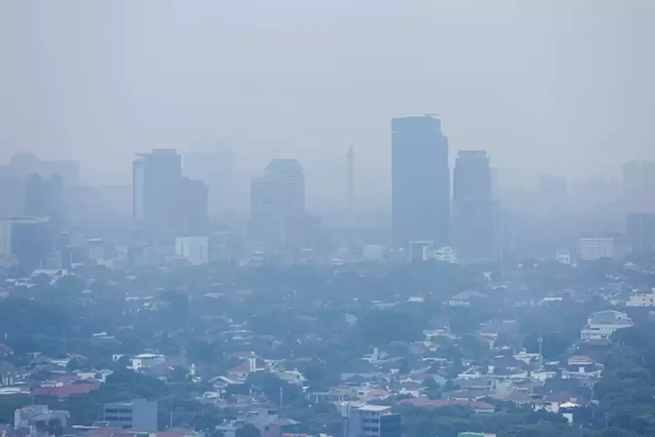 KLHK Klaim Pembakaran Sampah Berkontribusi pada Polusi Udara di Jakarta