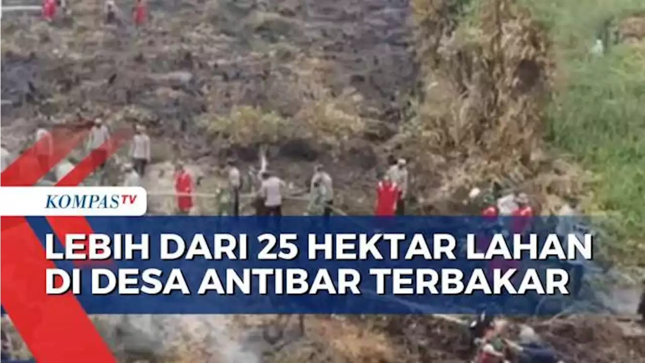 Karhutla, BPBD Catat 25,03 Hektar Lahan di Desa Antibar Hangus Terbakar!