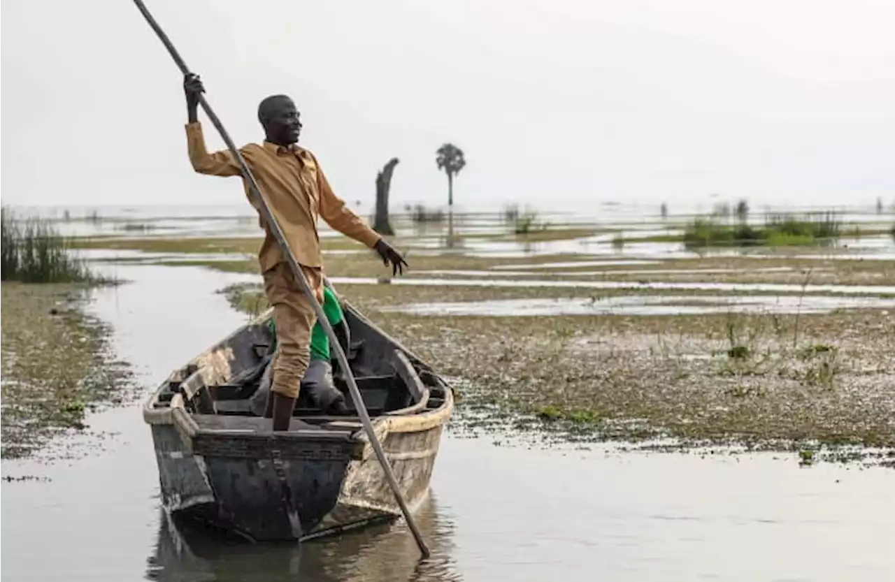 As oil activities encroach on sacred natural sites, a small Ugandan community feels besieged