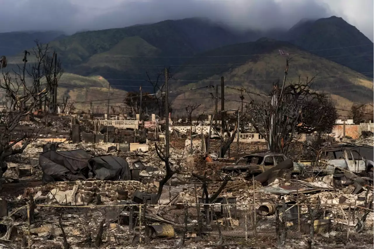 Clippers to assist Maui wildfire relief with proceeds from preseason game in Hawaii