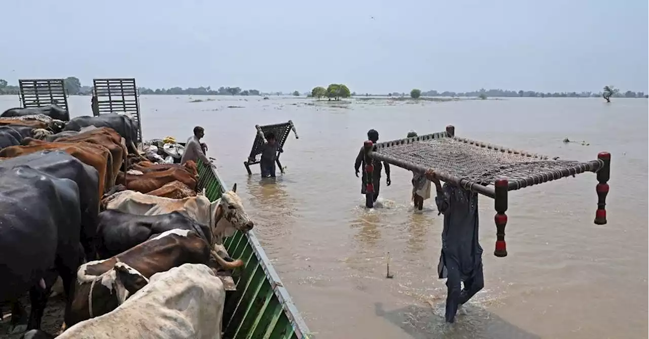 Environ 100.000 personnes évacuées après des inondations dans l'Est du Pakistan