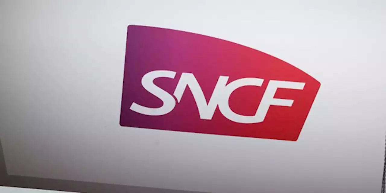 SNCF Réseau condamnée pour complicité d’atteinte à l’environnement après des travaux d'élagage