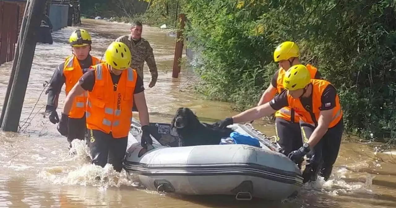 Tres muertos, miles de damnificados y millonarias pérdidas materiales tras temporal en Chile | Mundo