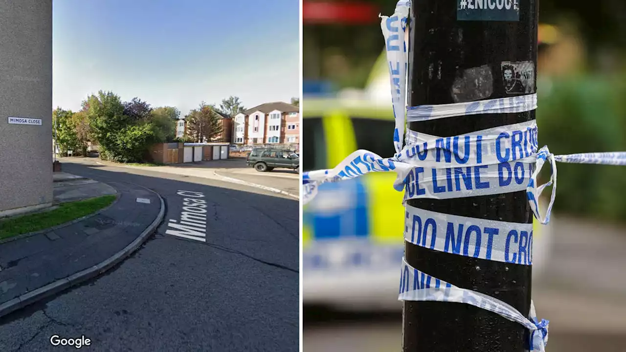 Man and woman arrested on suspicion of murder after baby found dead at London address