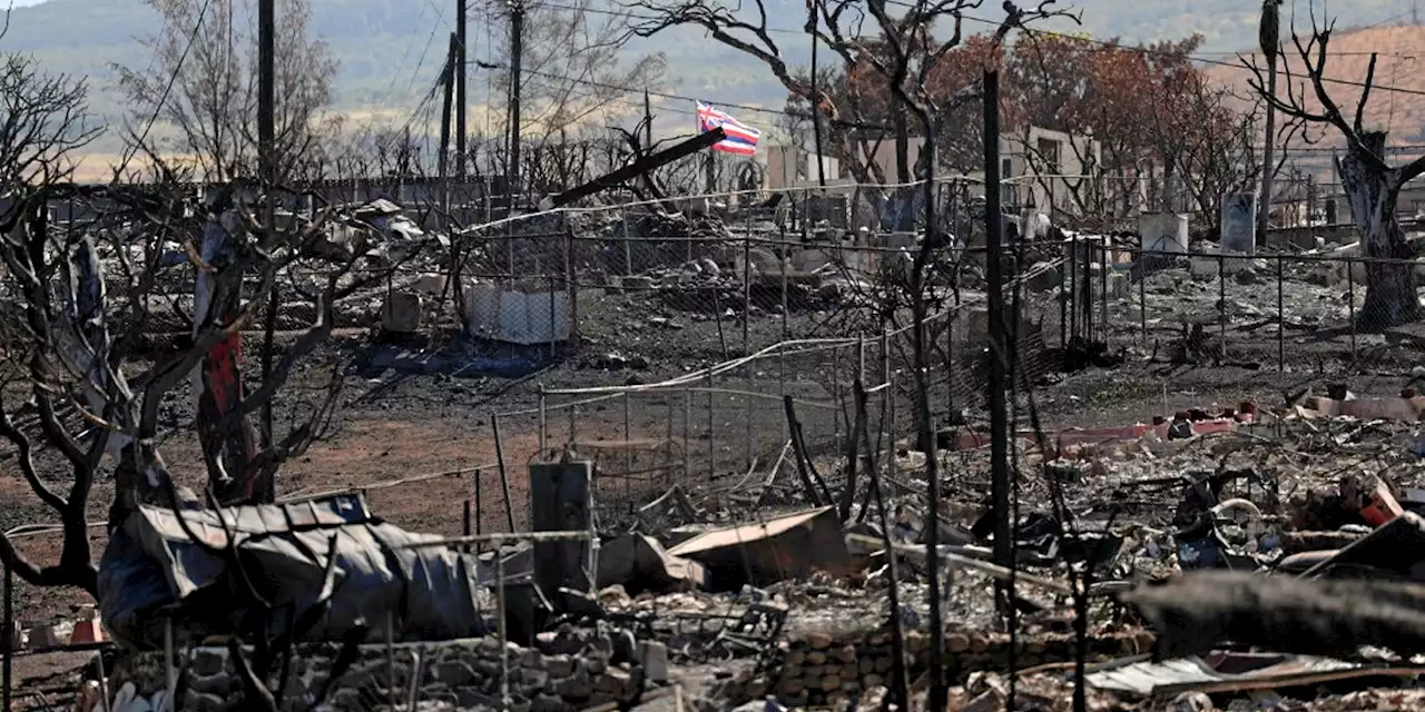 Incendies à Hawaï : 1 100 personnes portées disparues