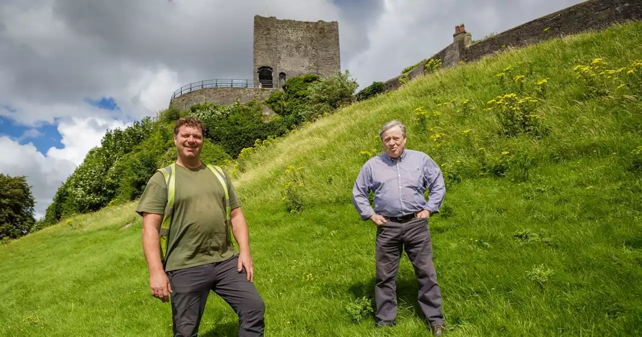 Clitheroe Castle grounds transformed into wildflower haven