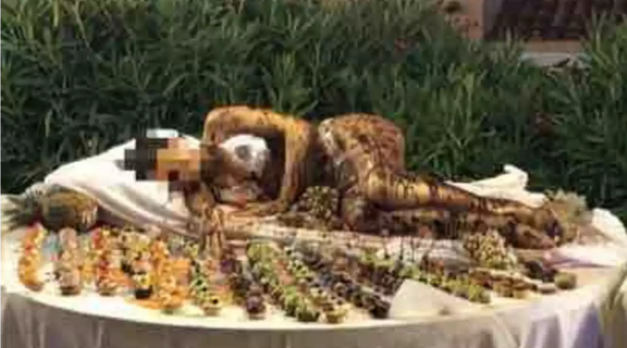 Golfo Aranci (Sassari), donna ricoperta di cioccolato nel buffet di un hotel: è bufera