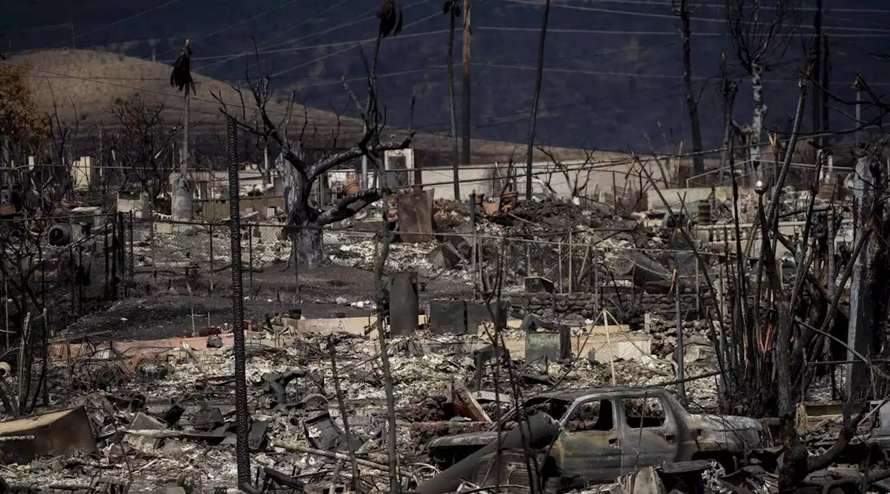 Incendi Hawaii, le autorità: 'I dispersi sono tra 500 e mille'