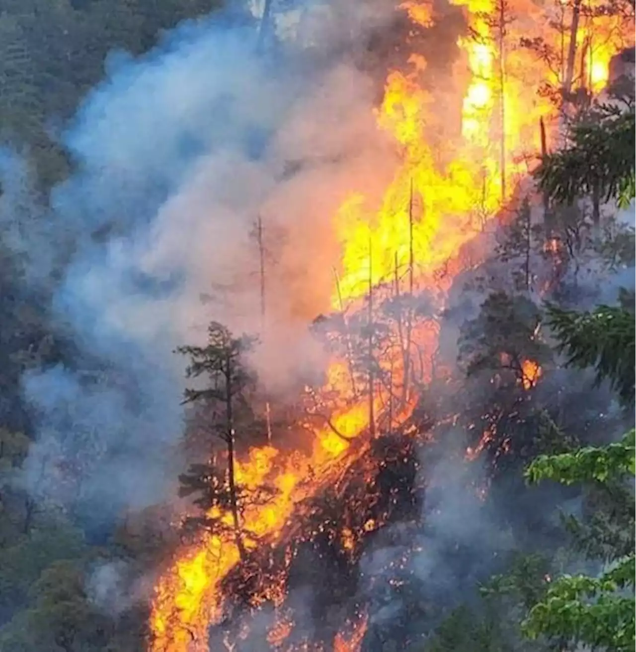 Northern California fires: Smith River Complex grows to over 40,000 acres at 0% containment