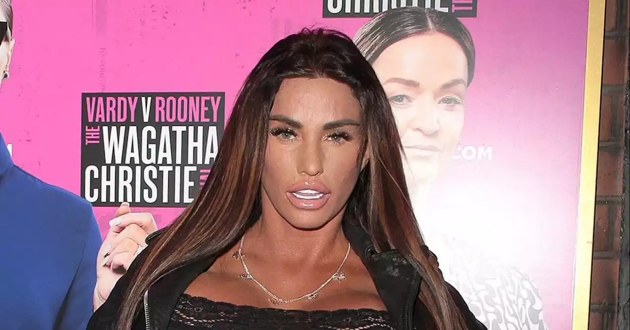 Katie Price enlists fan to be her surrogate for baby number 6