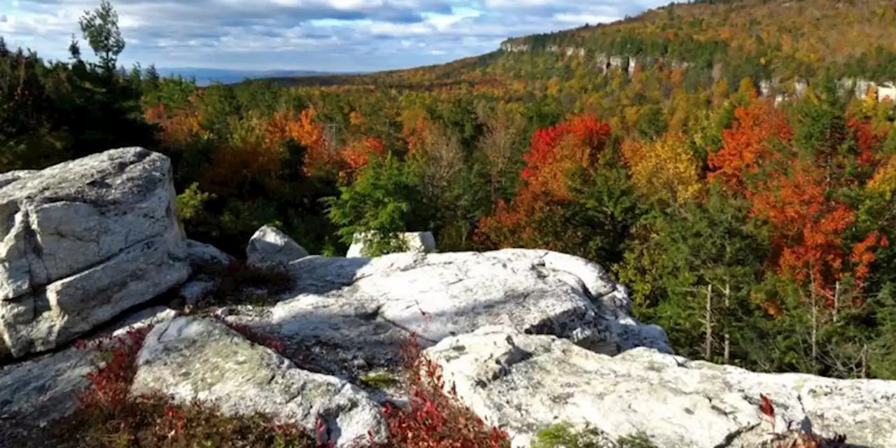 Find Farm To Table Food, Antiques & Endless Nature In The Hudson Valley