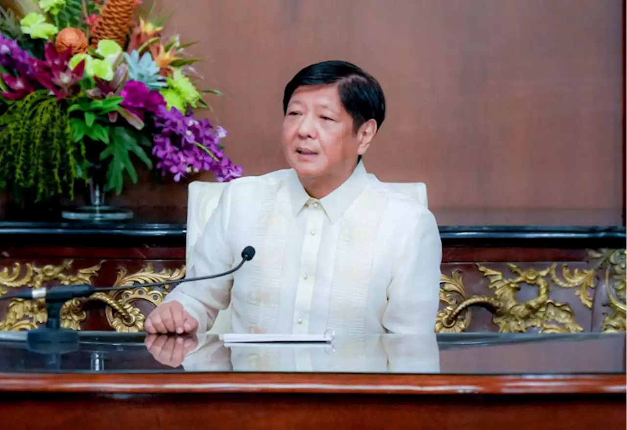 Marcos says online procurement needs safeguards to protect buyers