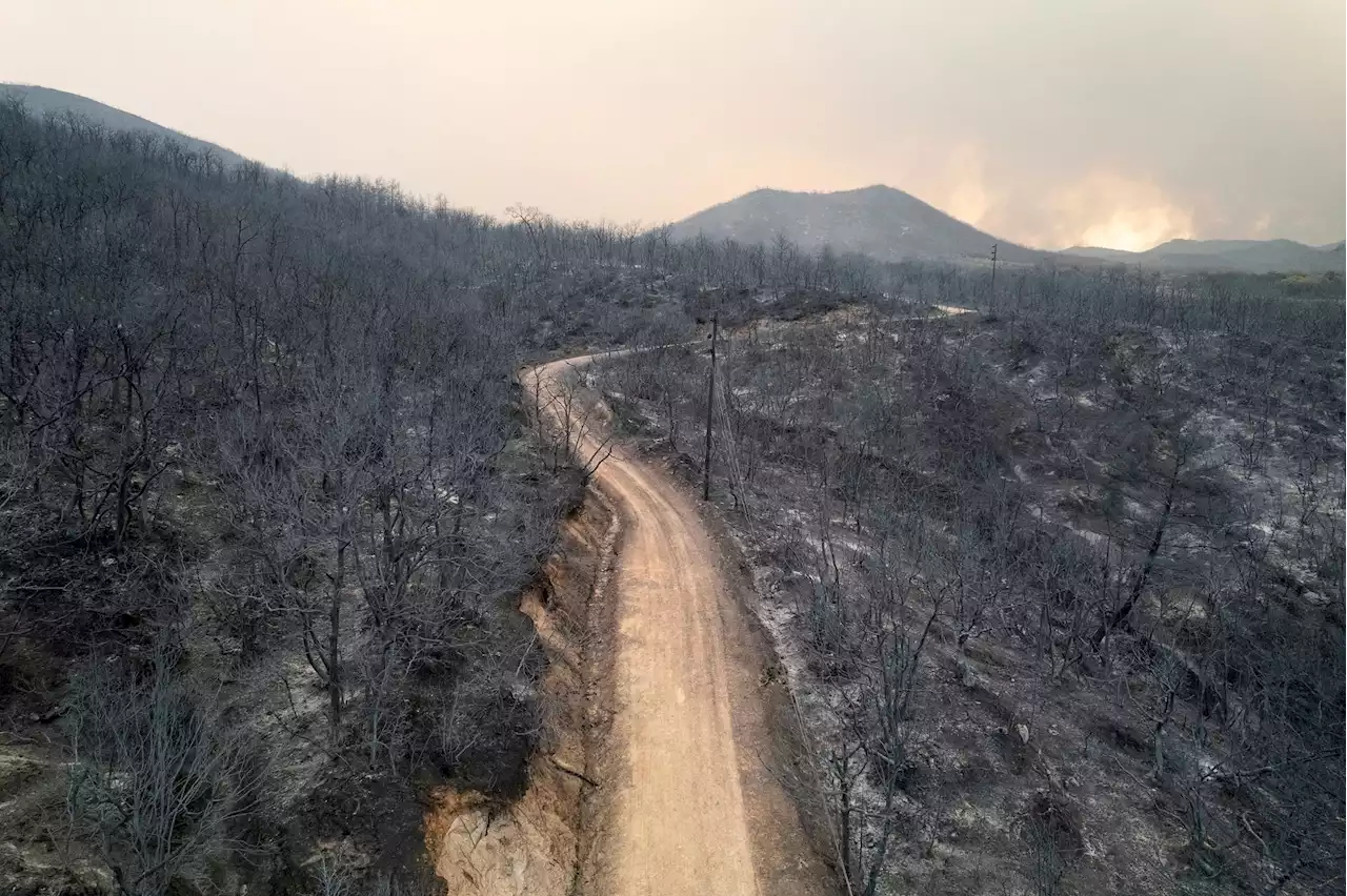 Waldbrände in Griechenland ungebremst