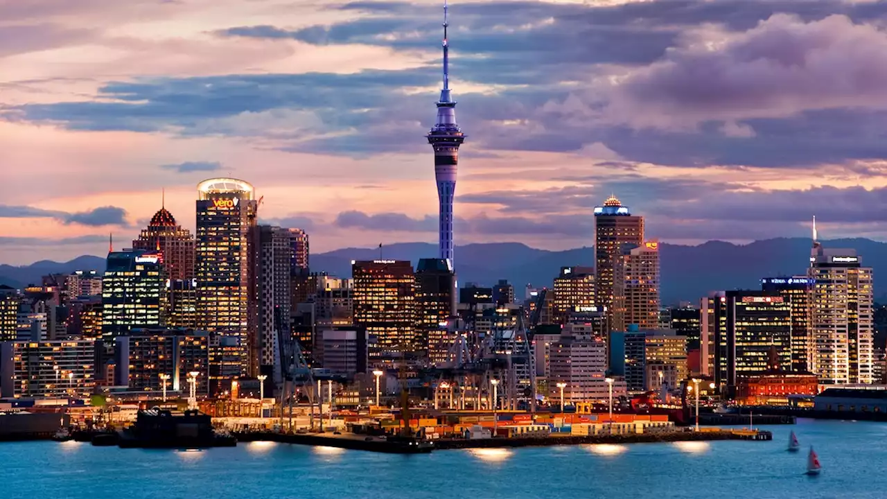 10 of the best hotels in Auckland, from sea-view retreats to urban art escapes