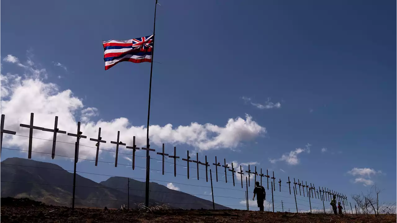 Hawaii officials urge families of people missing after deadly fires to give DNA samples