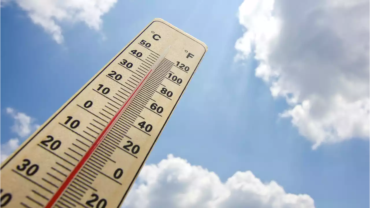 Here are the hottest recorded temperatures in Chicago's history