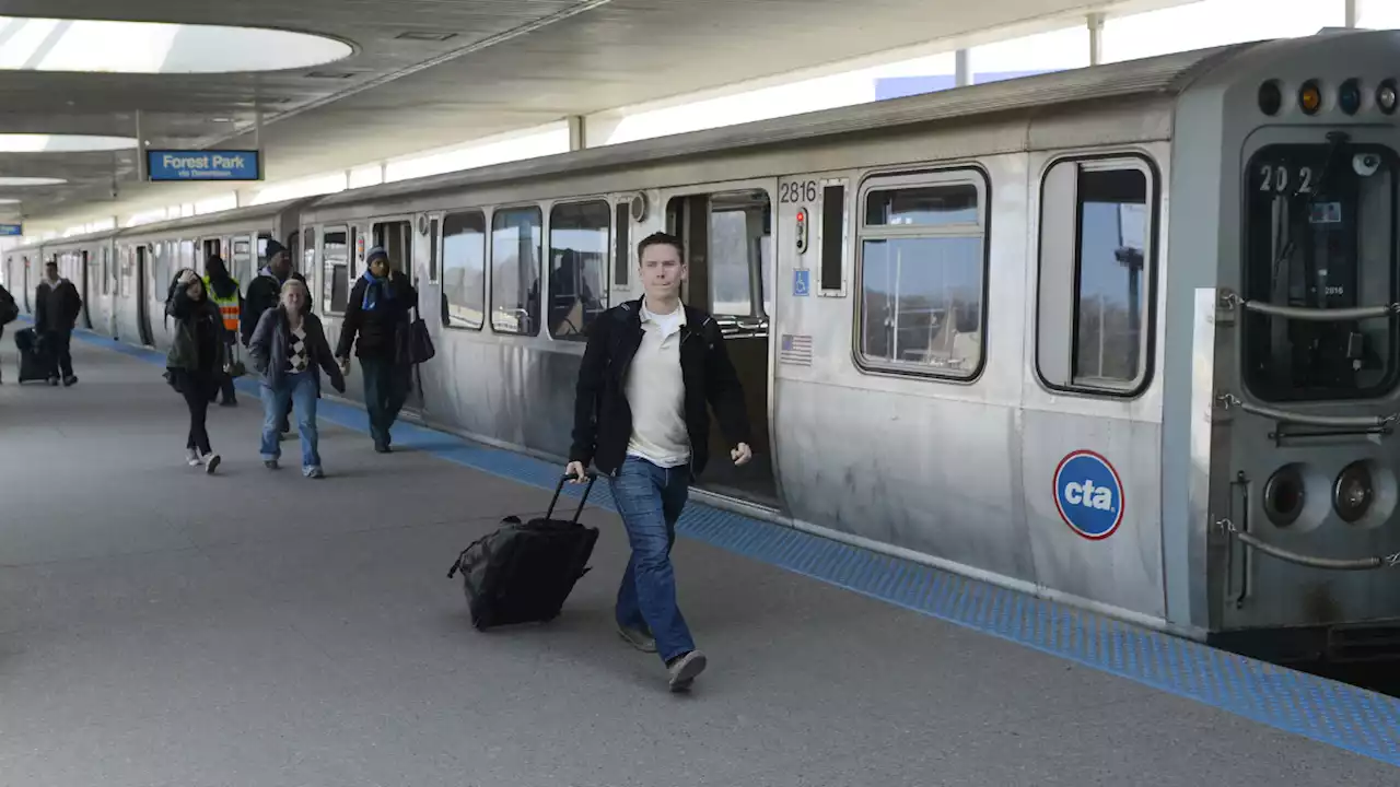 Pigeon problem plagues Irving Park Blue Line stop