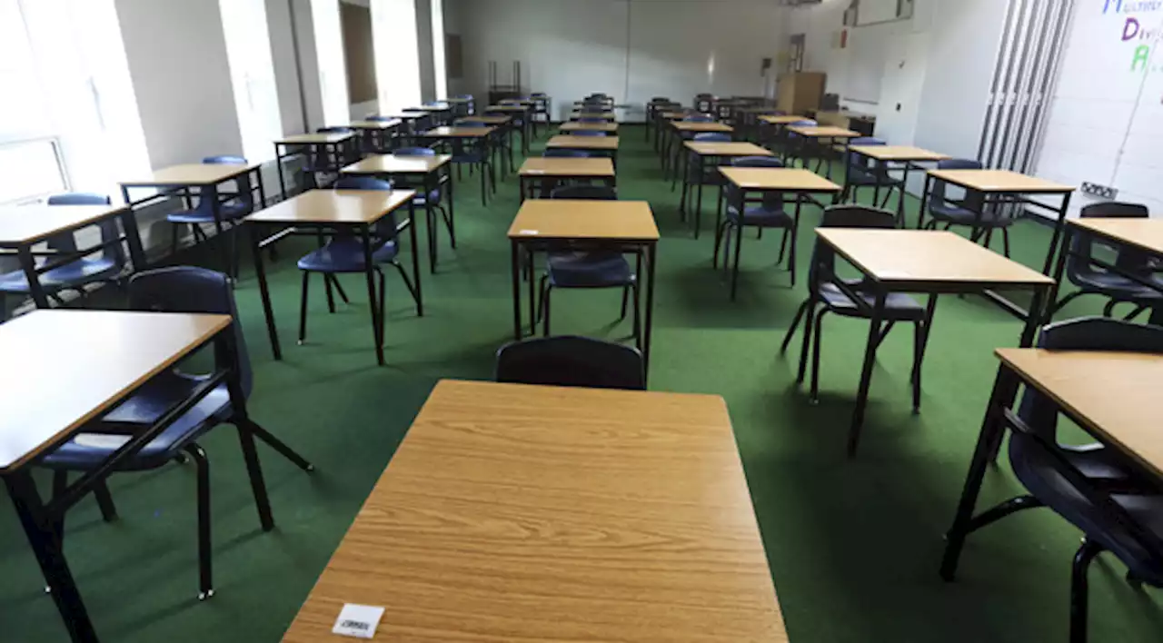 Principals association: Leaving Certificate a ‘cruel’ process that needs reinvention