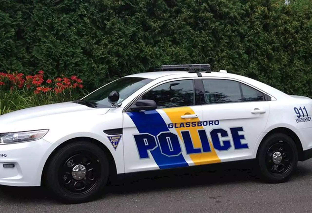 Multiple people charged after cops break up rowdy party attended by hundreds