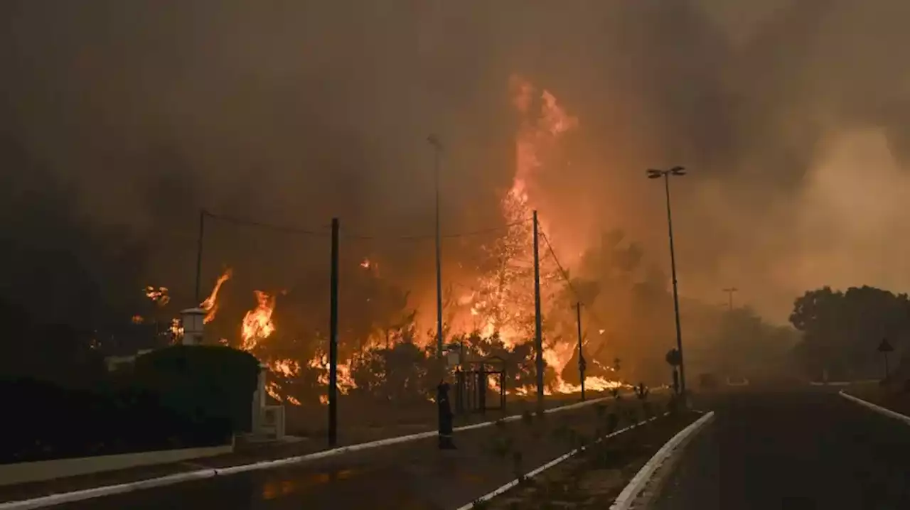 Incendios forestales en Grecia han dejado 20 muertos y pretenden evacuar más de 25 mil personas