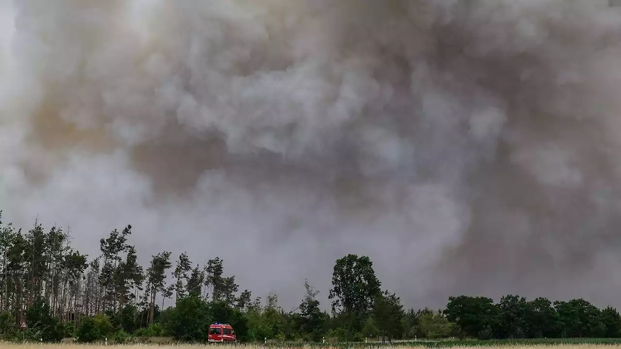 Waldbrände 'noch keine Großgefahr' in Rheinland-Pfalz