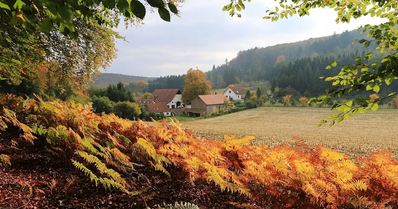 Herbstanfang 2023: Wann ist der kalendarische und meteorologische Beginn?