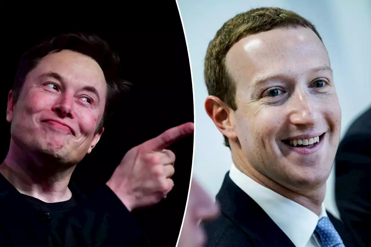 Elon Musk slams Facebook for ‘manipulating the public almost everywhere on Earth’