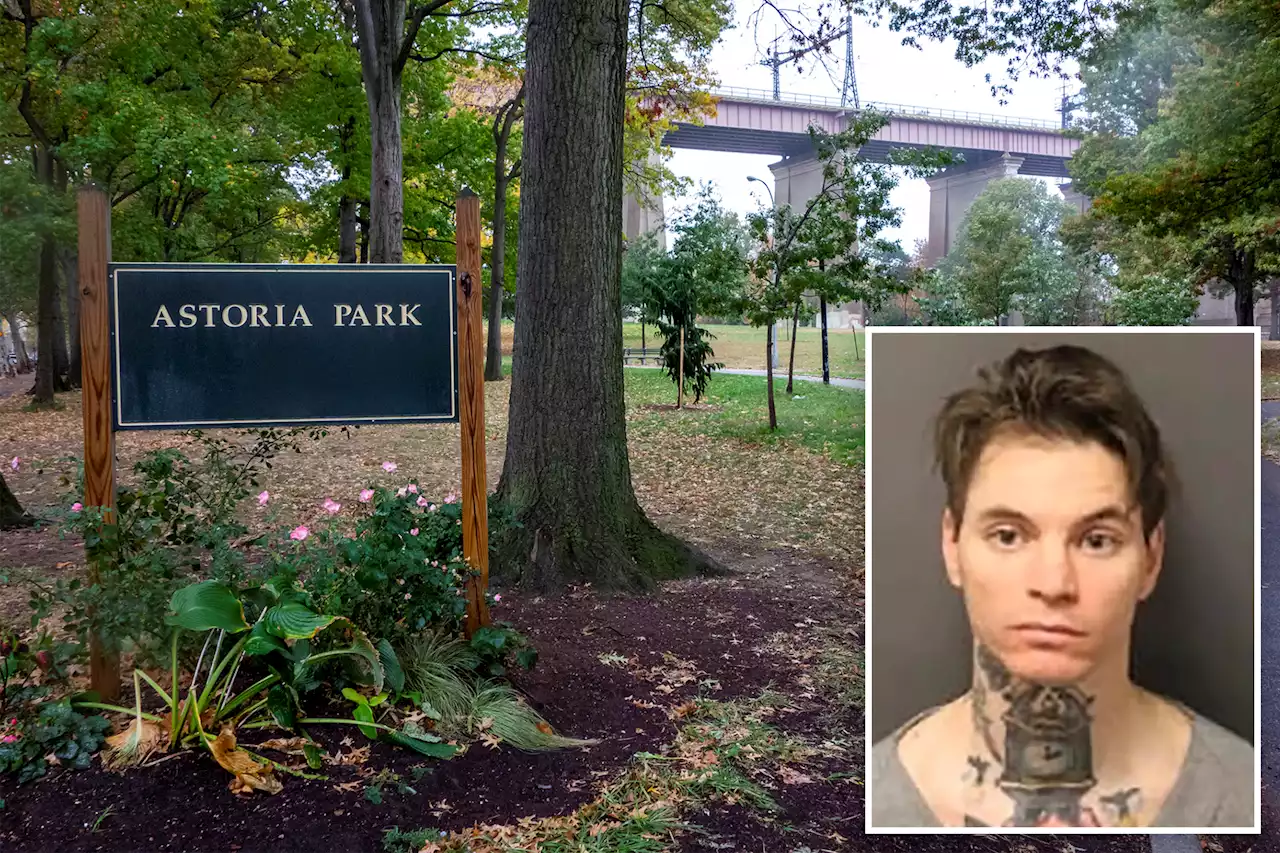 Suspect arrested in random NYC bat attacks that left one victim blind: cops