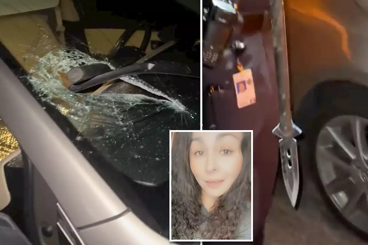 Woman nearly killed when spear smashes through windshield as she drove on Texas highway