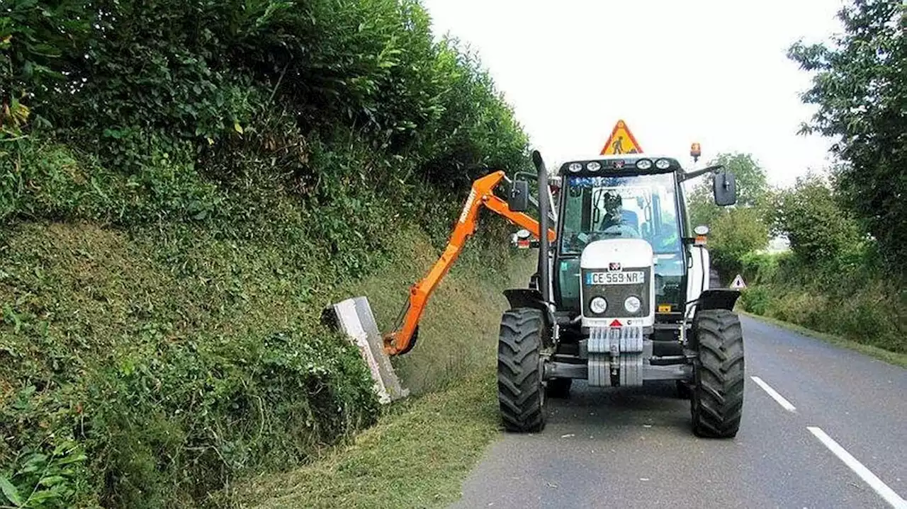 Dans la Manche, l’entretien des bords de route est -il nuisible à la biodiversité ?