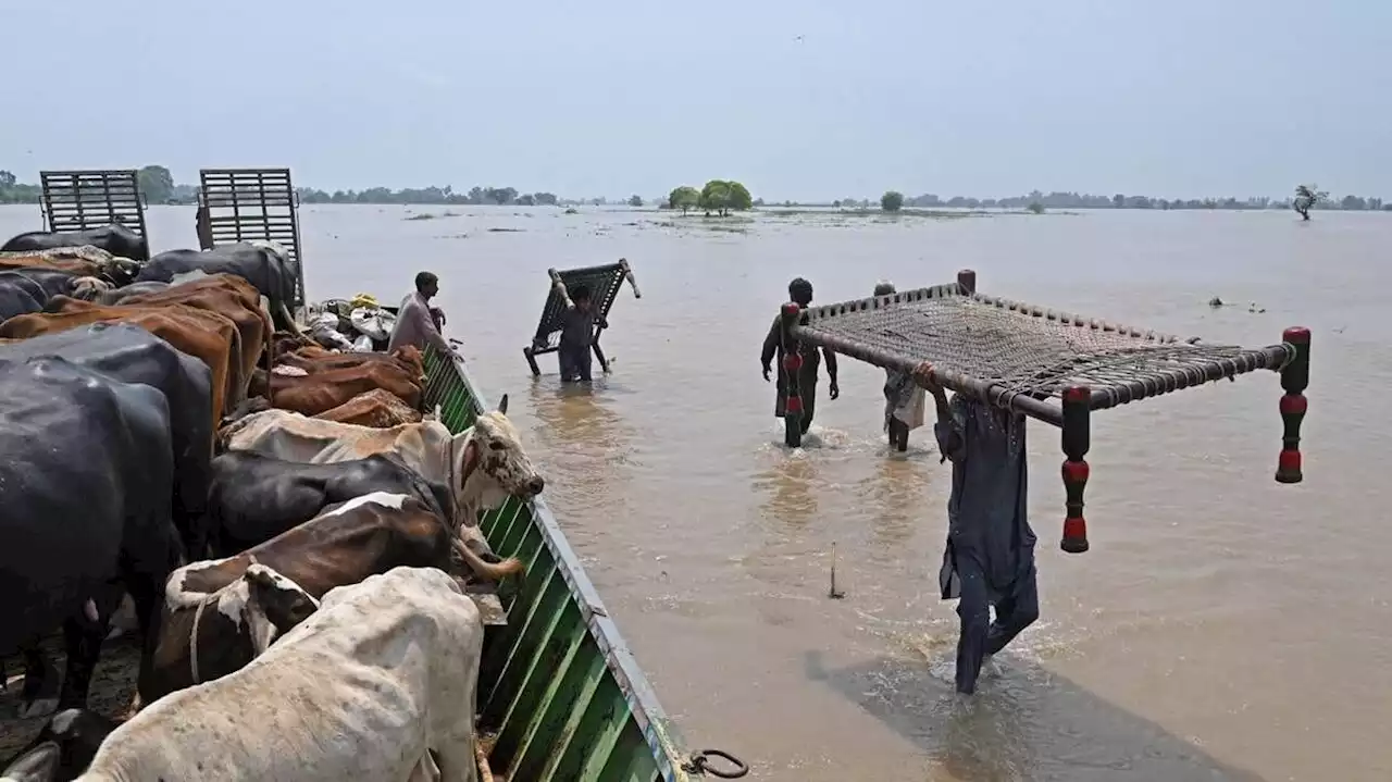 Environ 100 000 personnes évacuées après des inondations dans l’est du Pakistan