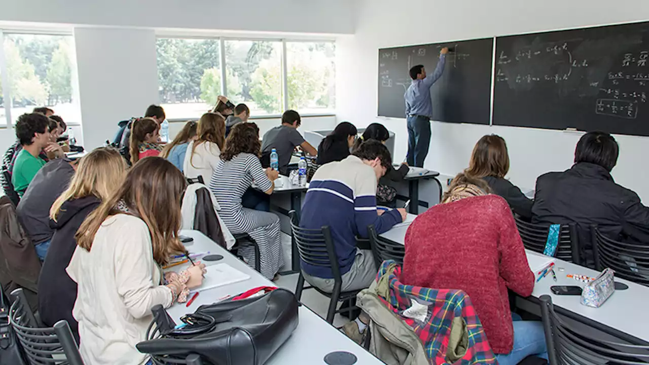 Nueve carreras se suman al Programa Puentes | Se amplían los estudios universitarios en ocho municipios