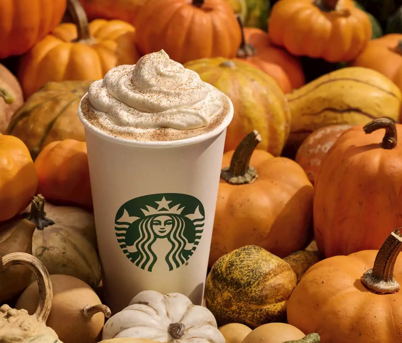 Starbucks’ iconic Pumpkin Spice Latte has a return date and is celebrating its 20th anniversary