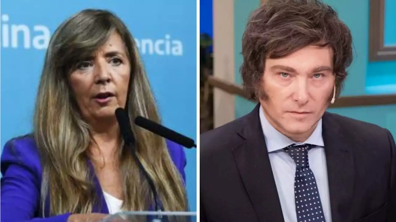 Cerruti sobre los saqueos: dijo que son imágenes falsas publicadas 'por cuentas o empleados' de Milei