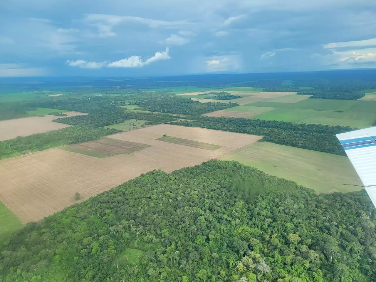 Amazon emissions soared under Brazil's Bolsonaro: study