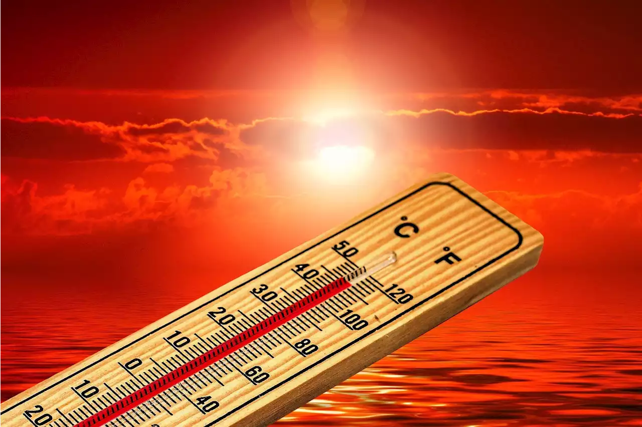 How to prepare your home for summer heat waves