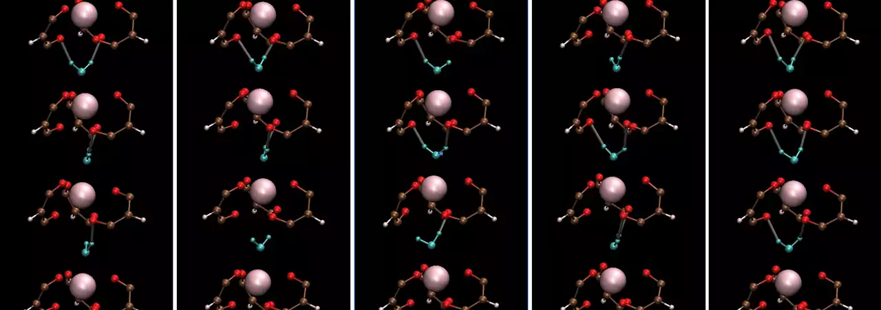 Unraveling the water dynamics and structure of water-coordinated metal complexes