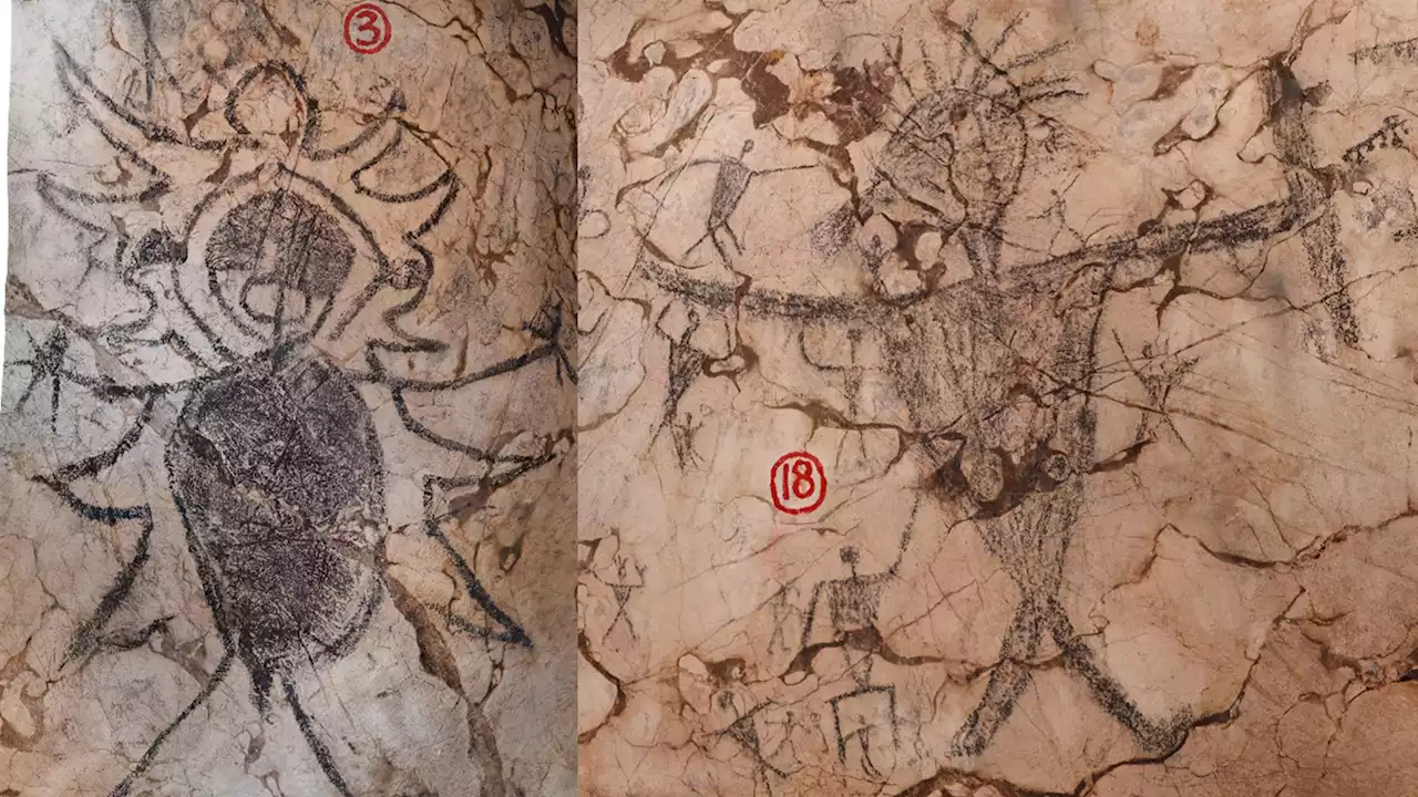 Newly-dated cave art tells a dark story in Borneo's history