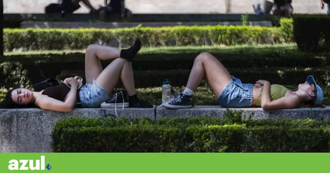 Metade de Portugal continental atingiu ou superou os 40°C na terça-feira