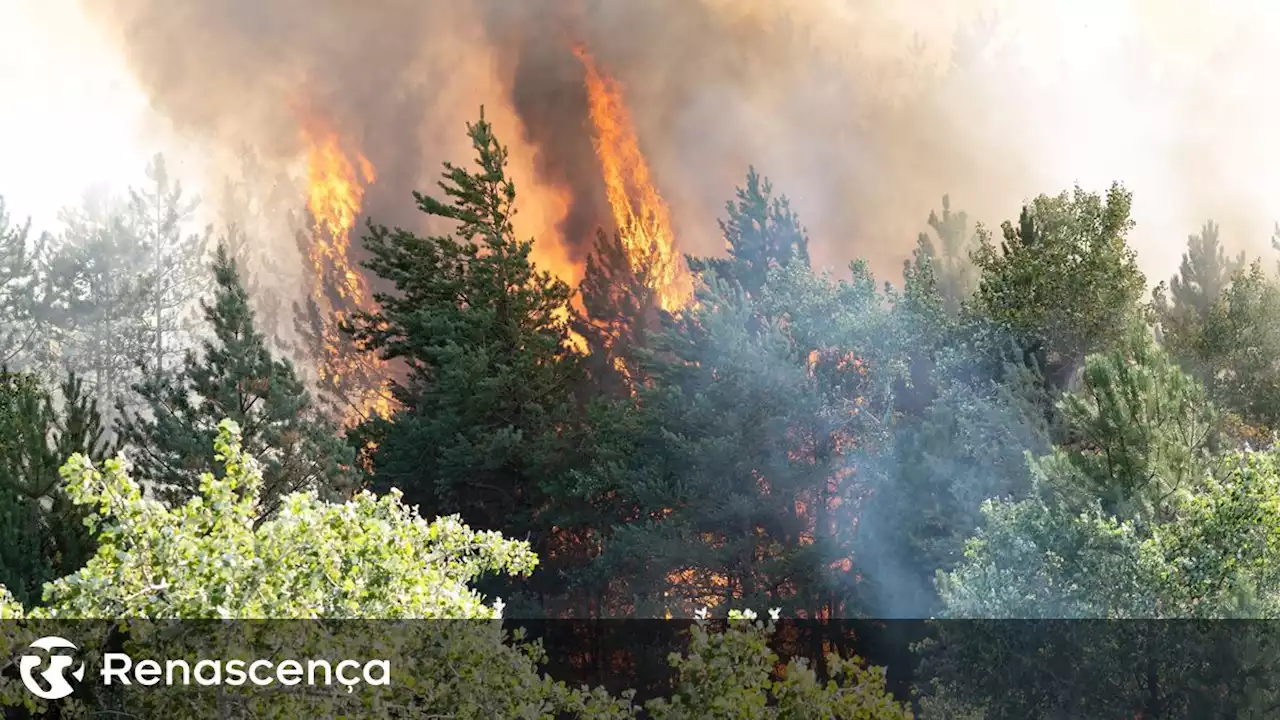 Incêndio em Ourém com 378 operacionais e ainda sem controlo