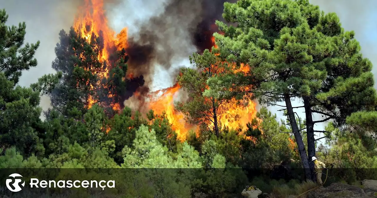 Mais de 5.200 GNR destacados devido a risco de incêndio nos próximos dias