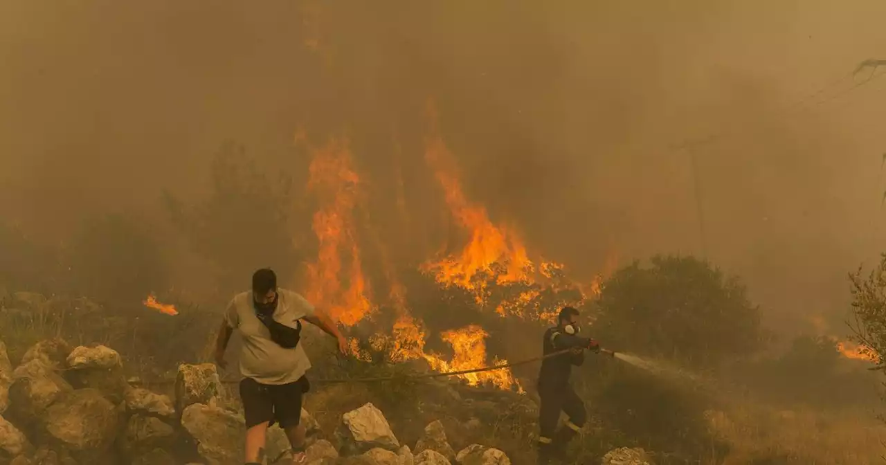 Evakuierungen und Tote: Waldbrände in Griechenland wüten weiter