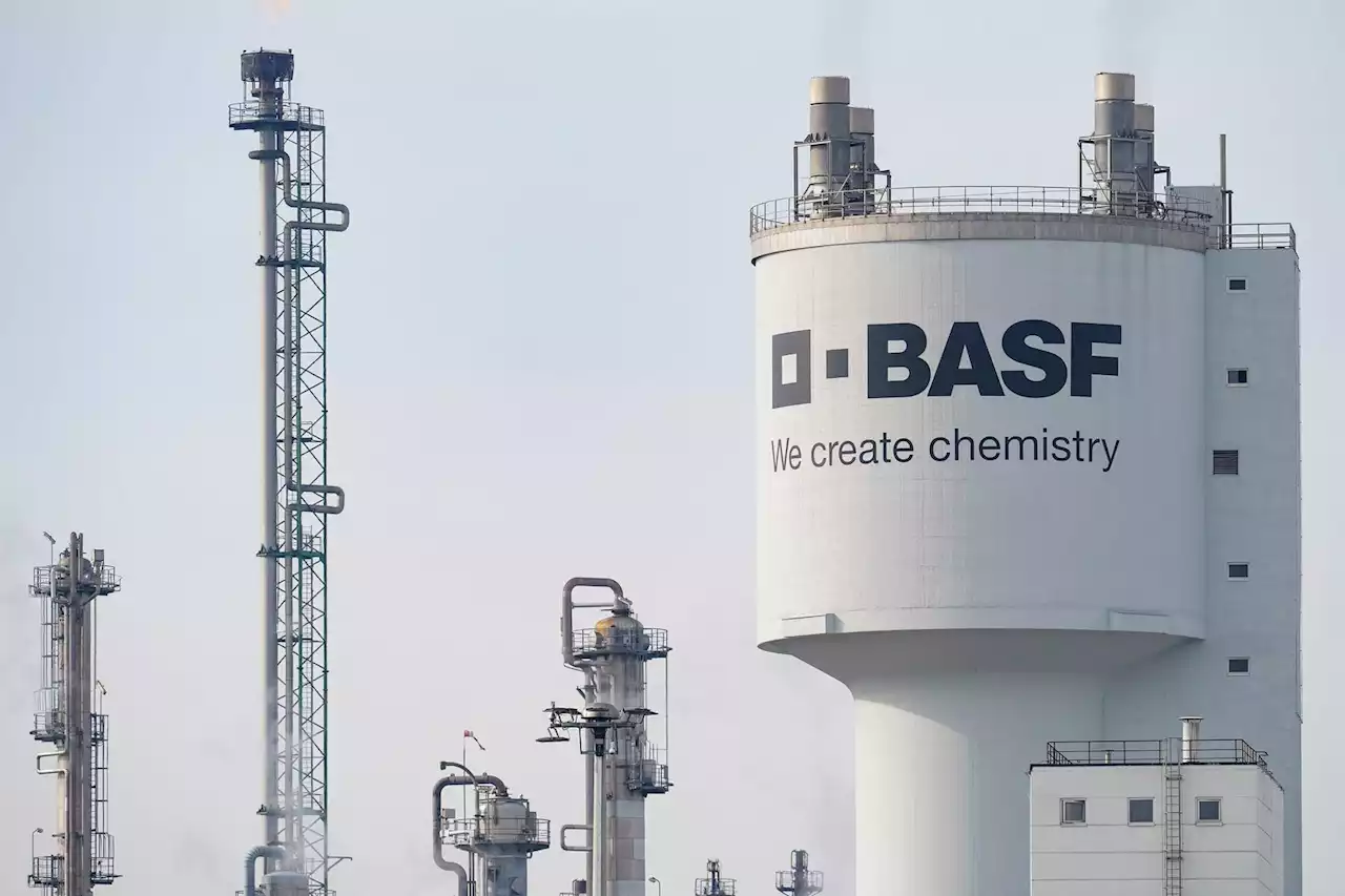 Kurzarbeit am BASF-Standort Lampertheim geplant