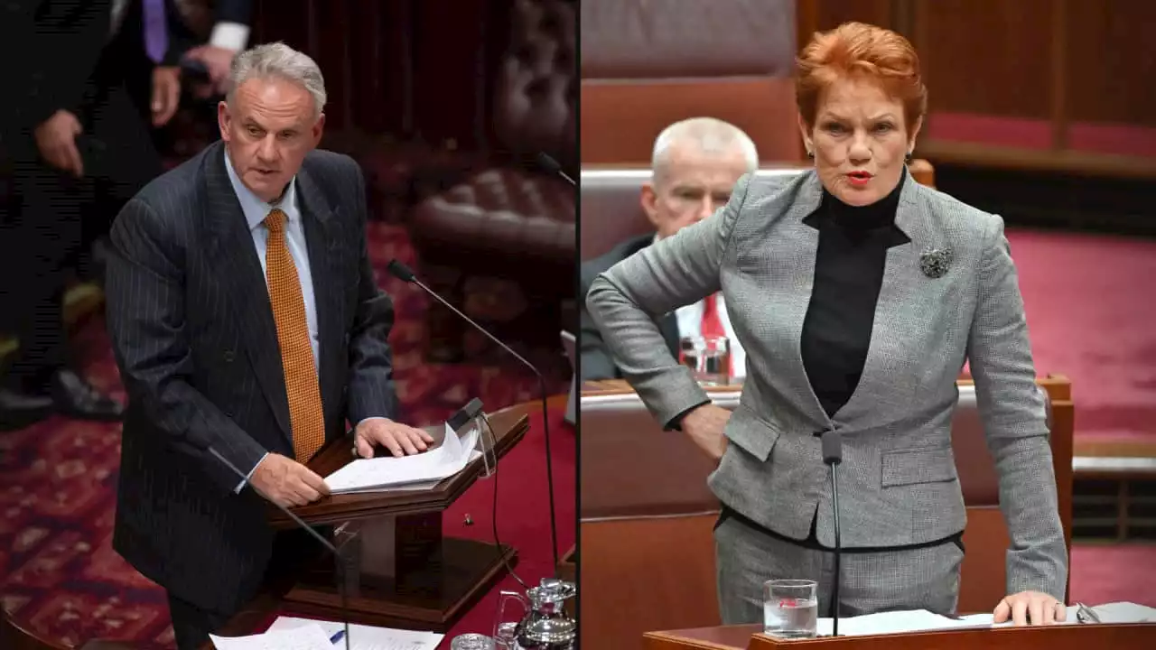 One Nation's 'money grab' allegations face probe, Pauline Hanson rejects claims