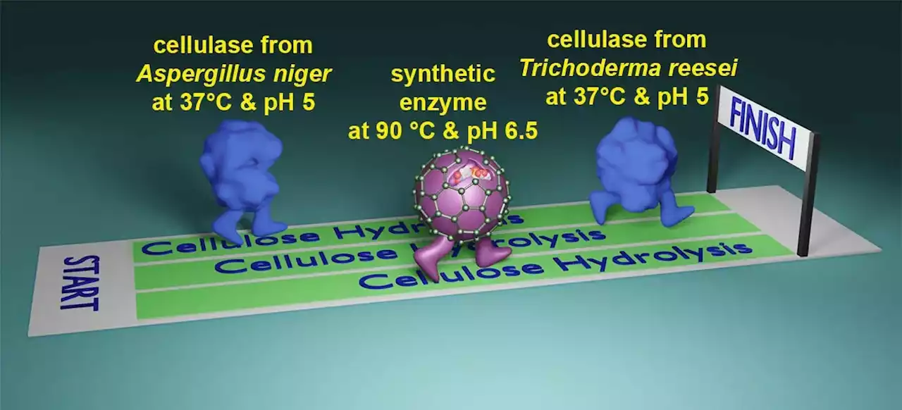 – Chemists Develop Synthetic Catalysts To Break Down Biomass