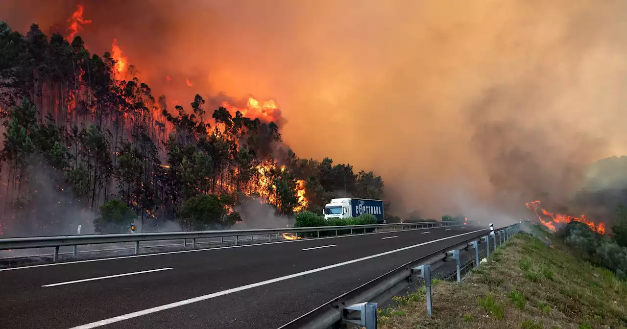 Mais de 100 concelhos em perigo máximo de incêndio