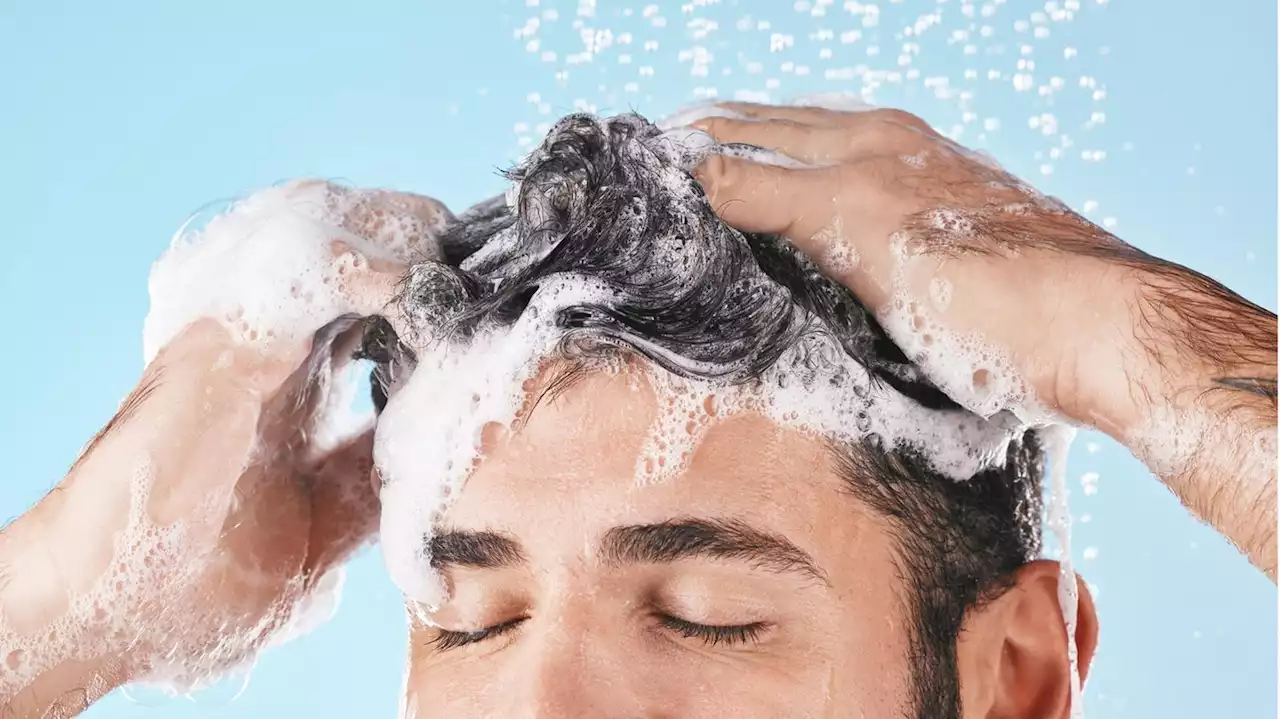 Shampoo für fettige Haare: Tipps gegen Talg und Öl im Haar